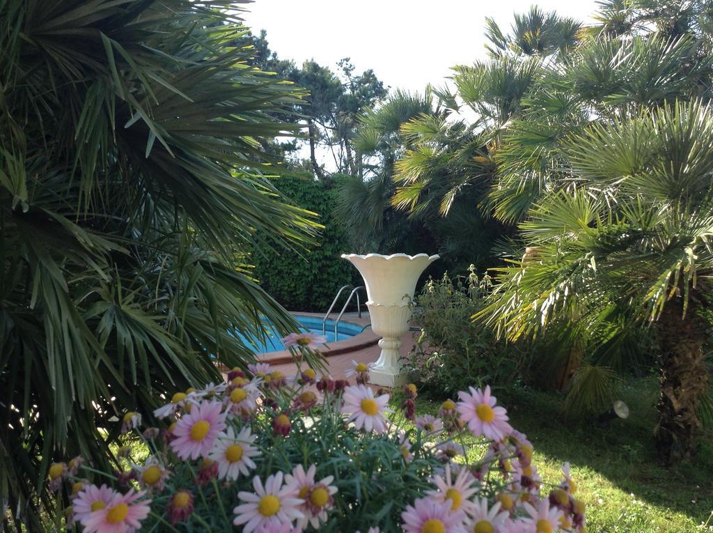 Hotel Villa Maremonti Marina di Massa Εξωτερικό φωτογραφία